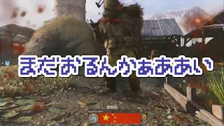 [COD:MW]見たら笑顔になれる最高な楽しいけーくん動画だよｗｗｗ