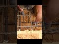 Jak Prawidłowo Połączyć Zbrojenie Narożne Belek Fundamentowych Domszkieletowy Zbrojenie
