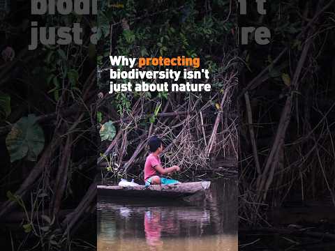 Why protecting biodiversity isn't just about nature