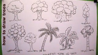 How TO Draw trees step by step easy/different type of tree/tree drawing