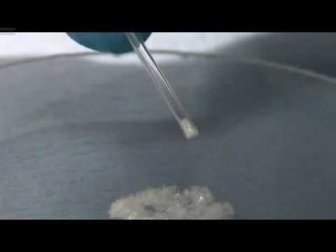 Melting Point Determination