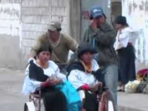 EL HIJO DE LAS MALVAS ORIGINAL