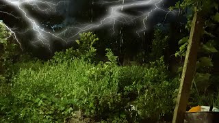 Pure Heavy Rain in Garden with Rumbling Thunder, Lightning, Distant Thunder &amp; Rain Sounds for Sleep