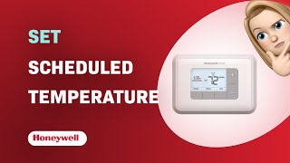 How to Set Your Scheduled Temperature with Honeywell RTH6360D1002/E Thermostat