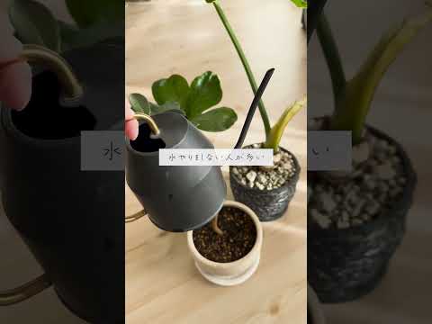 植物を暖めるのに適した冬のベールは何ですか?リーダーに従う ！  庭園