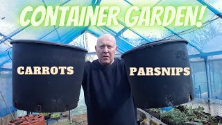 Parsnip & Carrot Pots  Container Gardening [Gardening Allotment UK] [Home Growing Veg ]