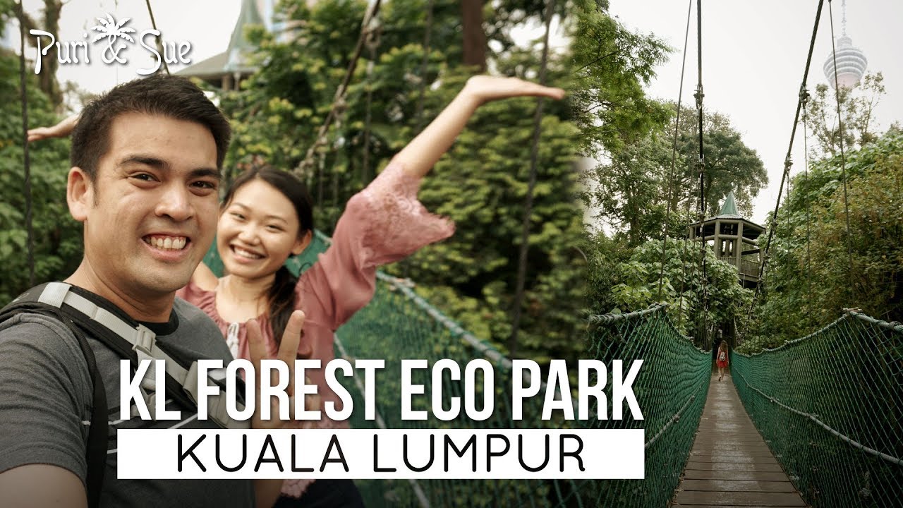 Join travelers on a captivating journey through KL Forest Eco Park in this engaging video!
