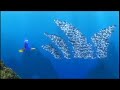 Disney Cinemagic Finding Nemo UK 2010 Promo
