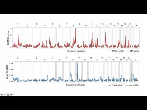 Genomic characterization of brain metastases identifies drivers of metastatic lung adenocarcinoma