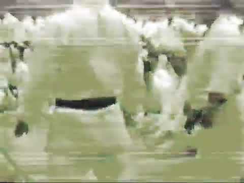 Wankan - Master Taiji Kase's version