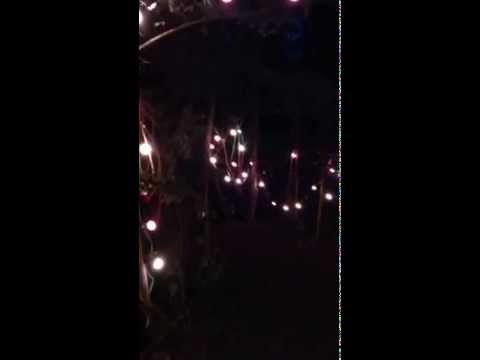 Trucktown family free party 16/14 au 17/14 !