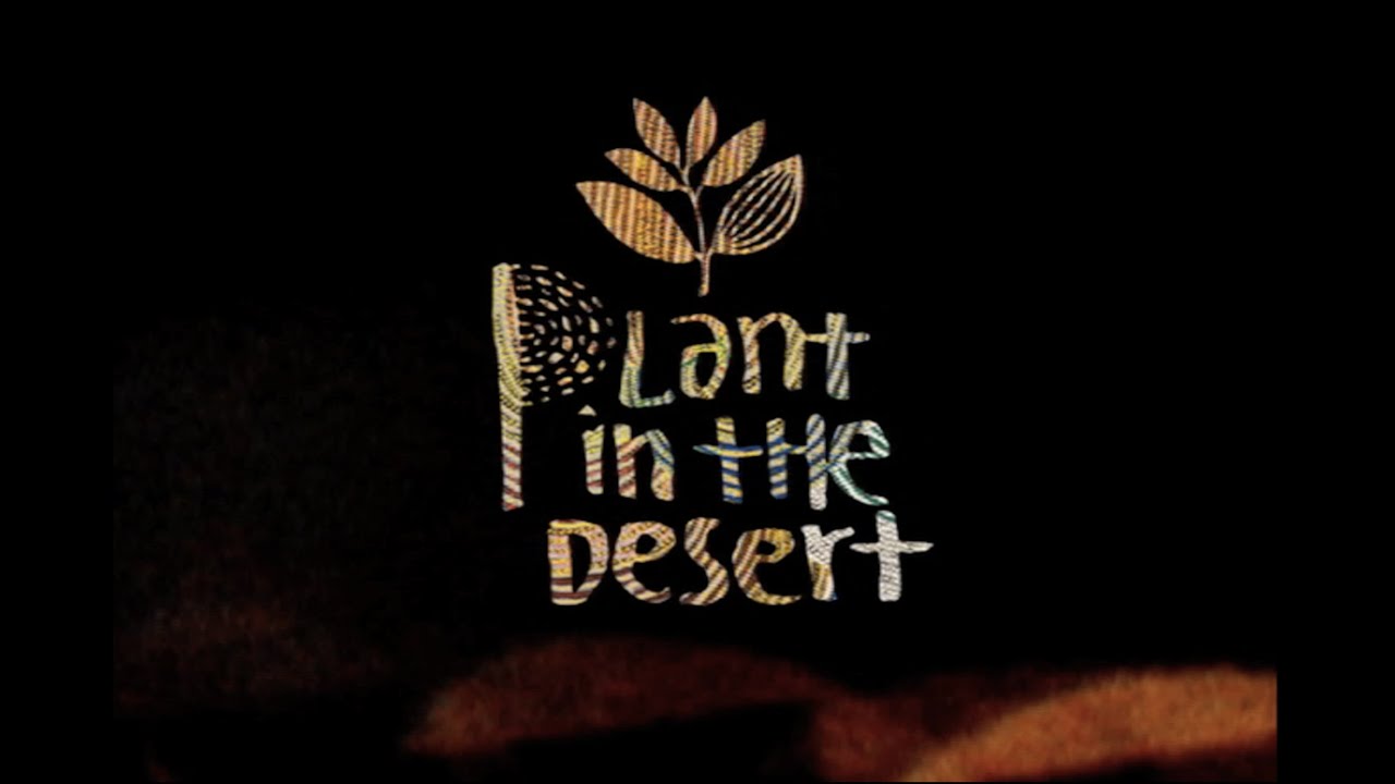 Plant in the Desert: Magenta Skateboards