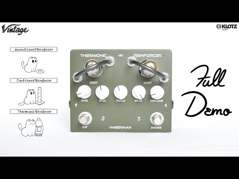 Hagerman Thermionic Reinforcer DEMO + REVIEW | THE High Voltage Tube Overdrive Pedal | Guitar + Bass