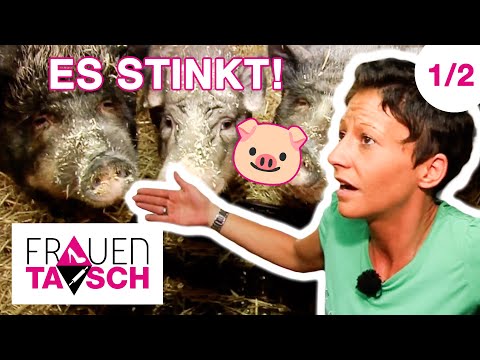 "EKELHAFT!" Komplett verwahrlost... 😵‍💫🐷 1/2 | Frauentausch #269
