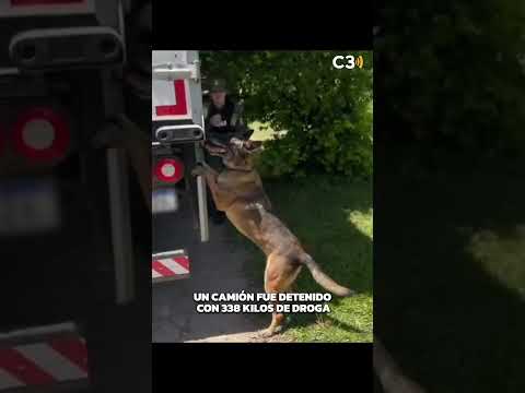 👮🏻 INCAUTARON 338 KILOS DE MARIHUANA EN CHACO | Cadena 3 Argentina