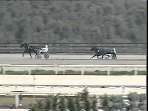 IPPODROMO DEI PINI - Prova di qualifica 31 marzo 2014