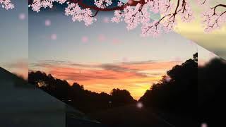 Temerarios. siempre te amare ❤️❤️❤️❤️😍😍😍