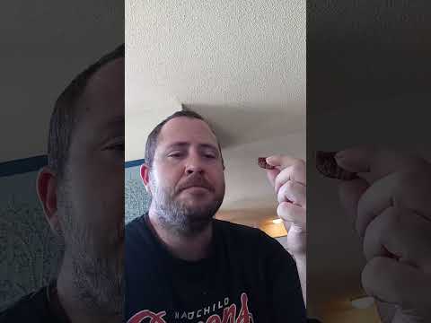 Ben &amp; Cat Eating Catfish (Chellmouth Dam)