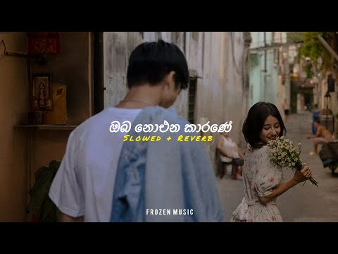 Oba Noena Karane ( ඔබ නොඑන කාරණේ ) | Slowed + Reverb | Official Music Video #remix #slowed #reverb