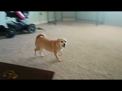 February 7,… - Partner