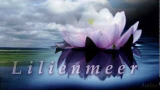 Lacrimas Profundere - Lilienmeer