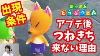 【あつ森】#8  アップデート後つねきちが来ない理由　つねきち出現条件　タイムトラベルなし　ニンテンドースイッチ　あつまれどうぶつの森ゲーム実況