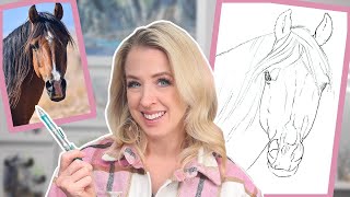 How to Draw a Horse Head Freehand: Beginner-Friendly Tutorial