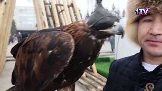 Видео