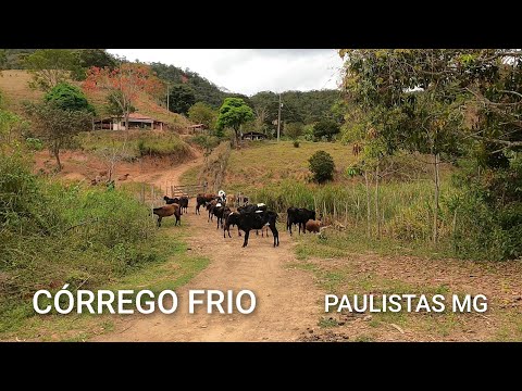 TERRA DE MINAS GERAIS | CÓRREGO FRIO , PELAS ESTRADAS RURAIS DE MINAS,  MUNICÍPIO DE PAULISTAS MG 