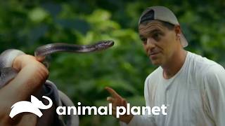 Thumbnail del capítulo