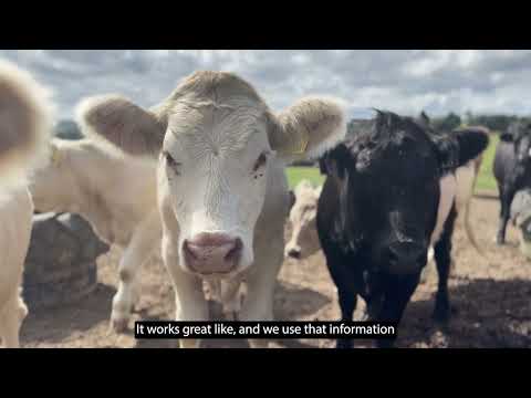 Meating Our Potential - Arthur