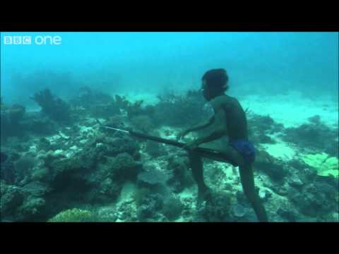 Underwater Fishing-BBC Human planet