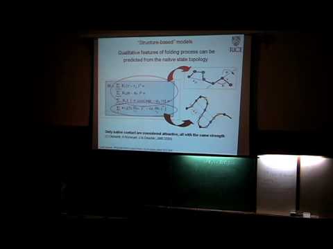 Computational Studies of Biological Molecules II + Physics of the Mitotic Spindle I