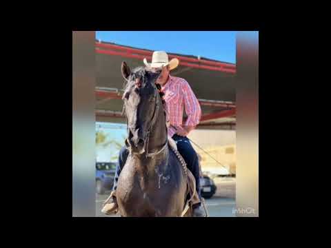 BETTER LIFE SECRETES: HOW TO MASTERMIND AND EMBRACE YOUR TRUE POTENTIAL (PSYCHOLOGY BOOK REVIEW)