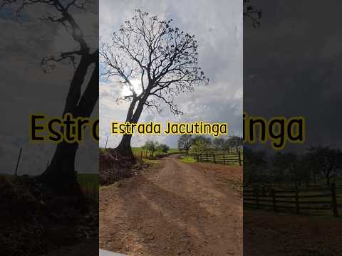 VOCÊ CONHECE A ESTRADA DO JACUTINGA? #interior #paraná #brasil