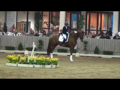 ASGARD'S IBIZA & Juliane Burfeind - Hengstgala Münster-Handorf 06.04.2019