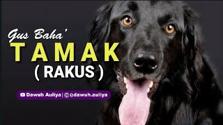 Download lagu Story WA Gus Baha' - TAMAK (RAKUS) mp3