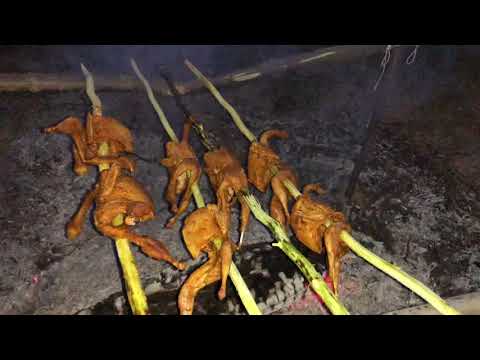 Roasting Birds In Primitive Style Part 4 | Man vs Wild Survival Skills