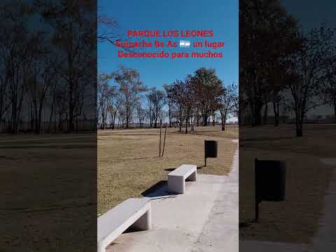 Conociendo Parque los Leones Suipacha Bs As Argentina lugar de pesca gratuito