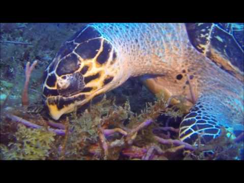 2017 04 07 Casablanca with We B Divin