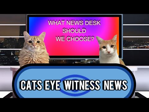 CATS EYE WITNESS NEWS - NEWS DESK UPDATE