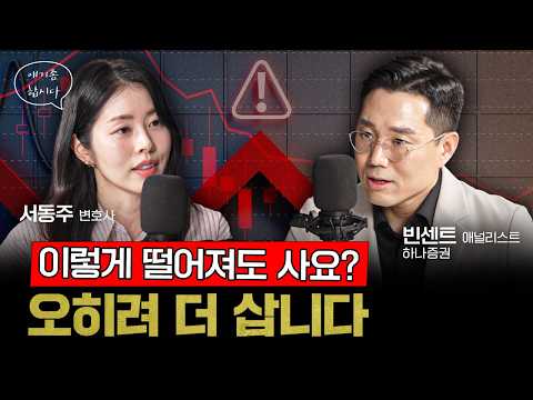 급락장인데도 "더 사세요"…빈센트가 자신 있는 이유 | 빈센트 하나증권 애널리스트 [얘기좀합시다]
