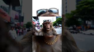 Download lagu yang deket rumahnya ayu share loc #ai #meme #moyet #lucu mp3
