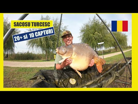 Sacosu Turcesc pescuit la crap, captura 20+ si ultimul weekend însorit din 2020, total 141kg