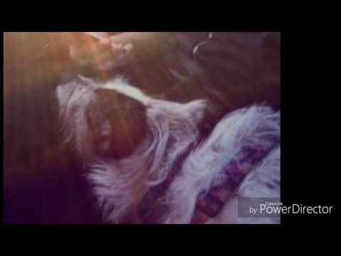 Happy Birthday Pippa!!!