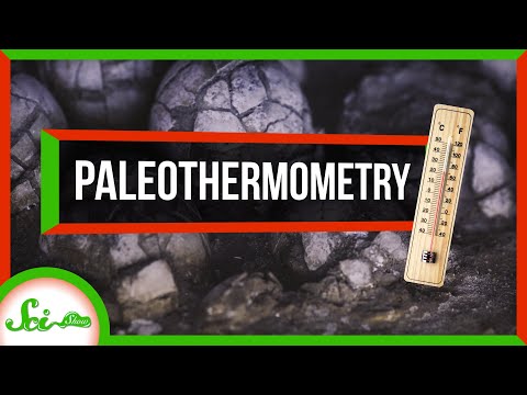恐竜はおそらく冷血ではなかった、卵の殻によると (Dinosaurs Probably Weren't Cold-Blooded, According to Eggshells)