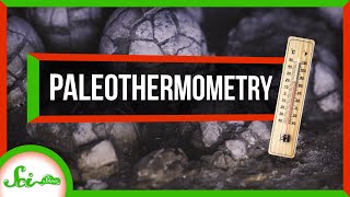 Dinosaurs Probably Weren't Cold-Blooded, According to Eggshells