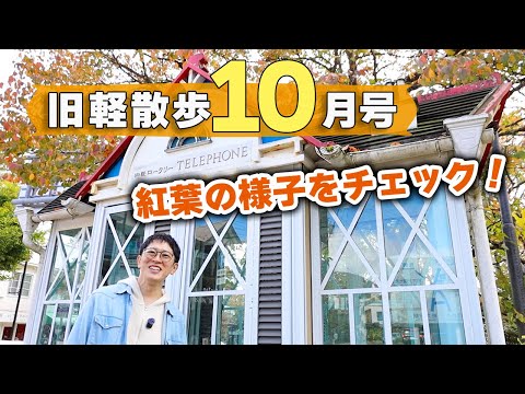 youtube����ͥ������