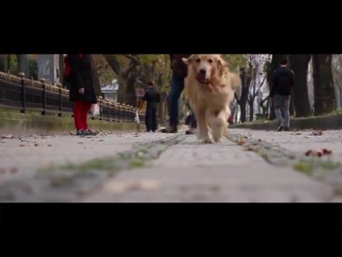 Ibrahim Maalouf - True Sorry (Not Official Video)