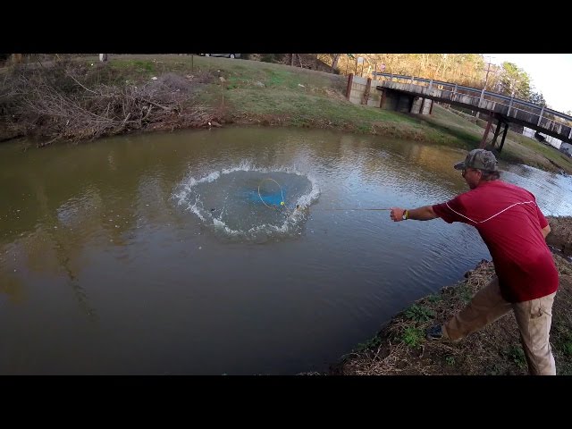 Catching Minnows With A Cast Net